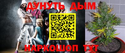 Альфа ПВП Малоярославец